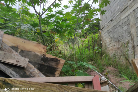 Terreno à venda em Chora Menino, São Paulo, SP