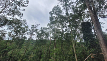 Terreno à venda no condomínio Alpes da Cantareira, Mairiporã - SP