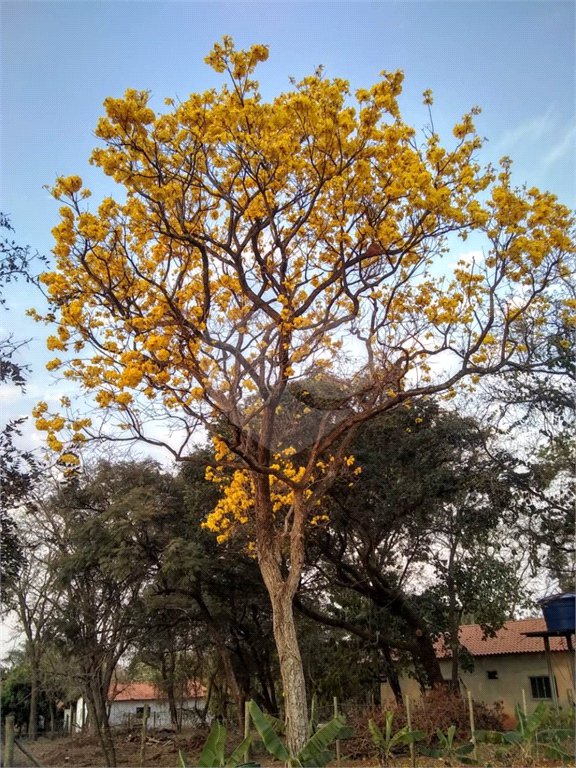 Chácara em Araraquara/SP.
