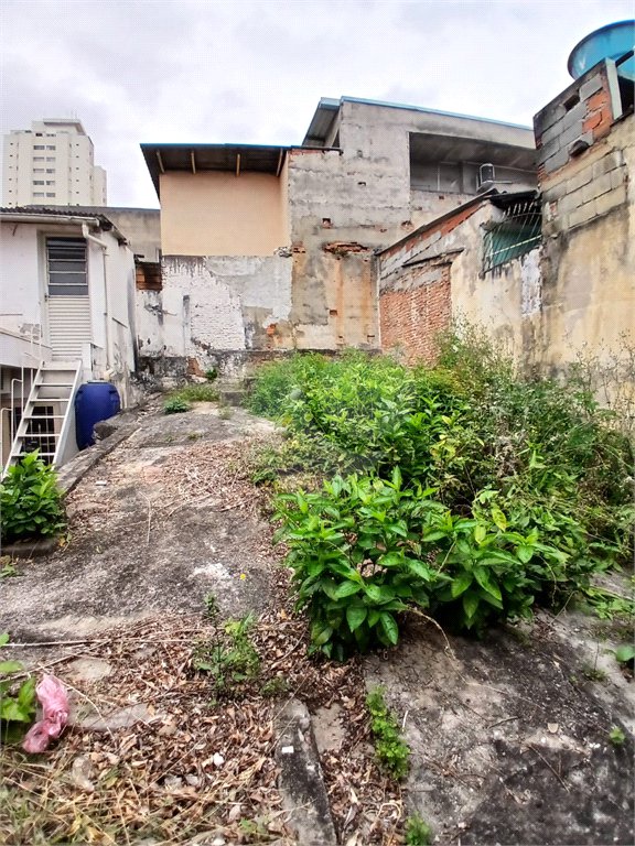 Terreno à venda em Vila Isolina Mazzei, São Paulo, SP