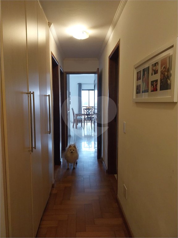 Apartamento à venda com 4 quartos, sendo 1 suíte,  em Vila Ipojuca, São Paulo, SP