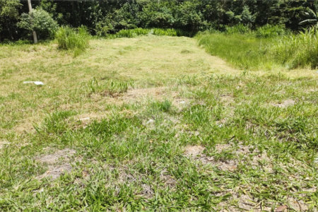 Terreno à venda em Jardim Jurema, Valinhos, SP