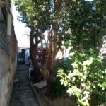 Terreno à venda com 1 quarto em Ferreira, São Paulo, SP