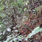 Terreno à venda no condomínio Campos de Mairiporã Gleba 1, Mairiporã - SP