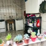 Casa Térrea à venda com 3 quartos em Vila Aurora (zona Norte), São Paulo, SP