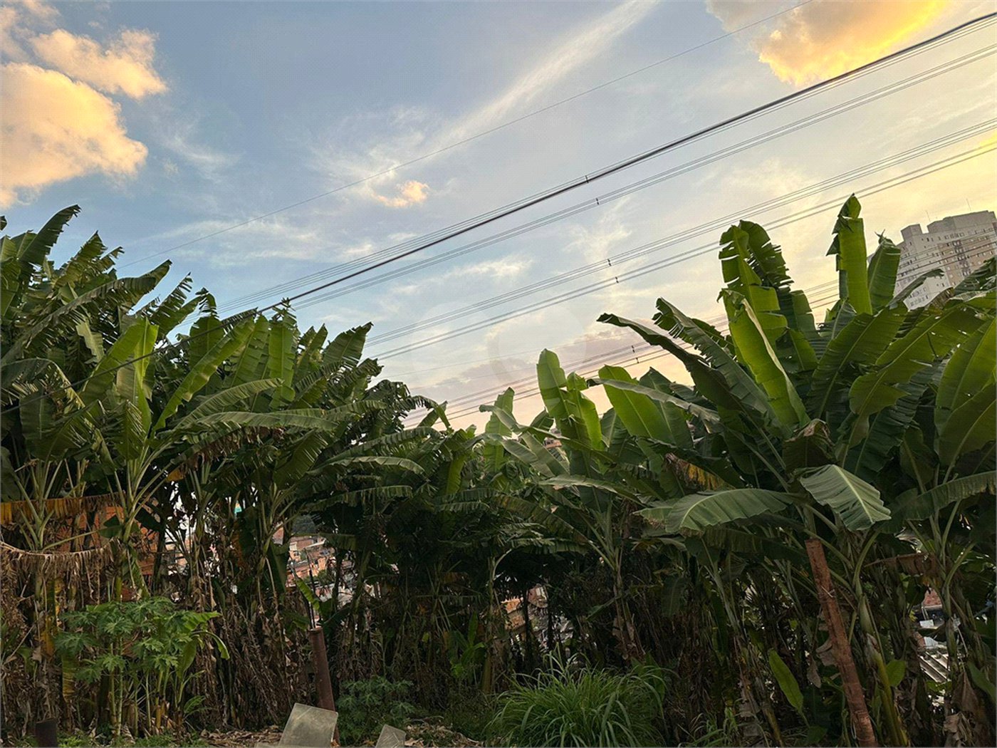 Terreno à venda em Tucuruvi, São Paulo, SP
