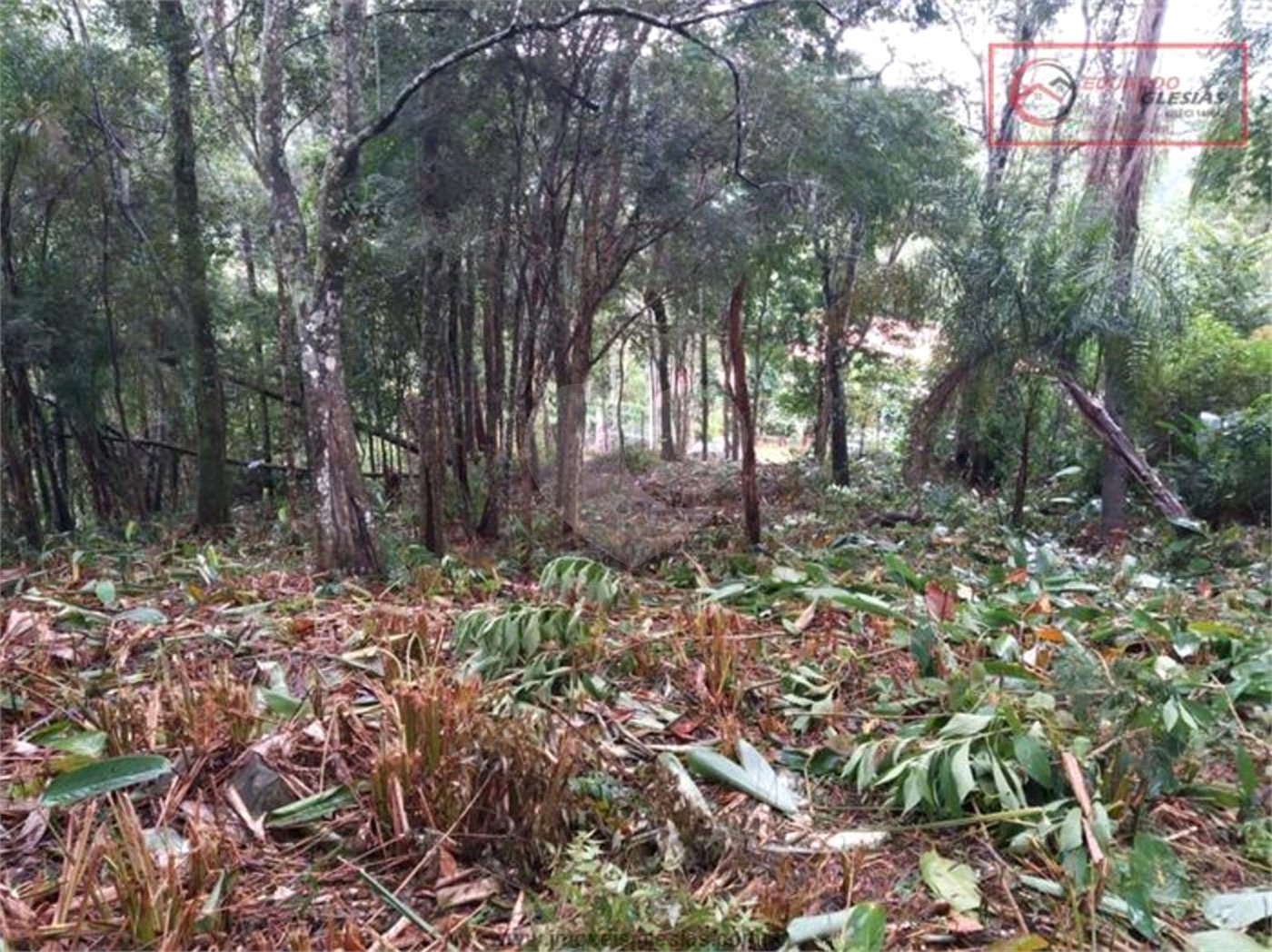 Terreno à venda em Serra da Cantareira, Mairiporã, SP
