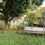 Casa à venda com 3 quartos em Santana, São Paulo, SP