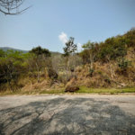 Loteamento à venda em Alpes de Atibaia, Atibaia, SP