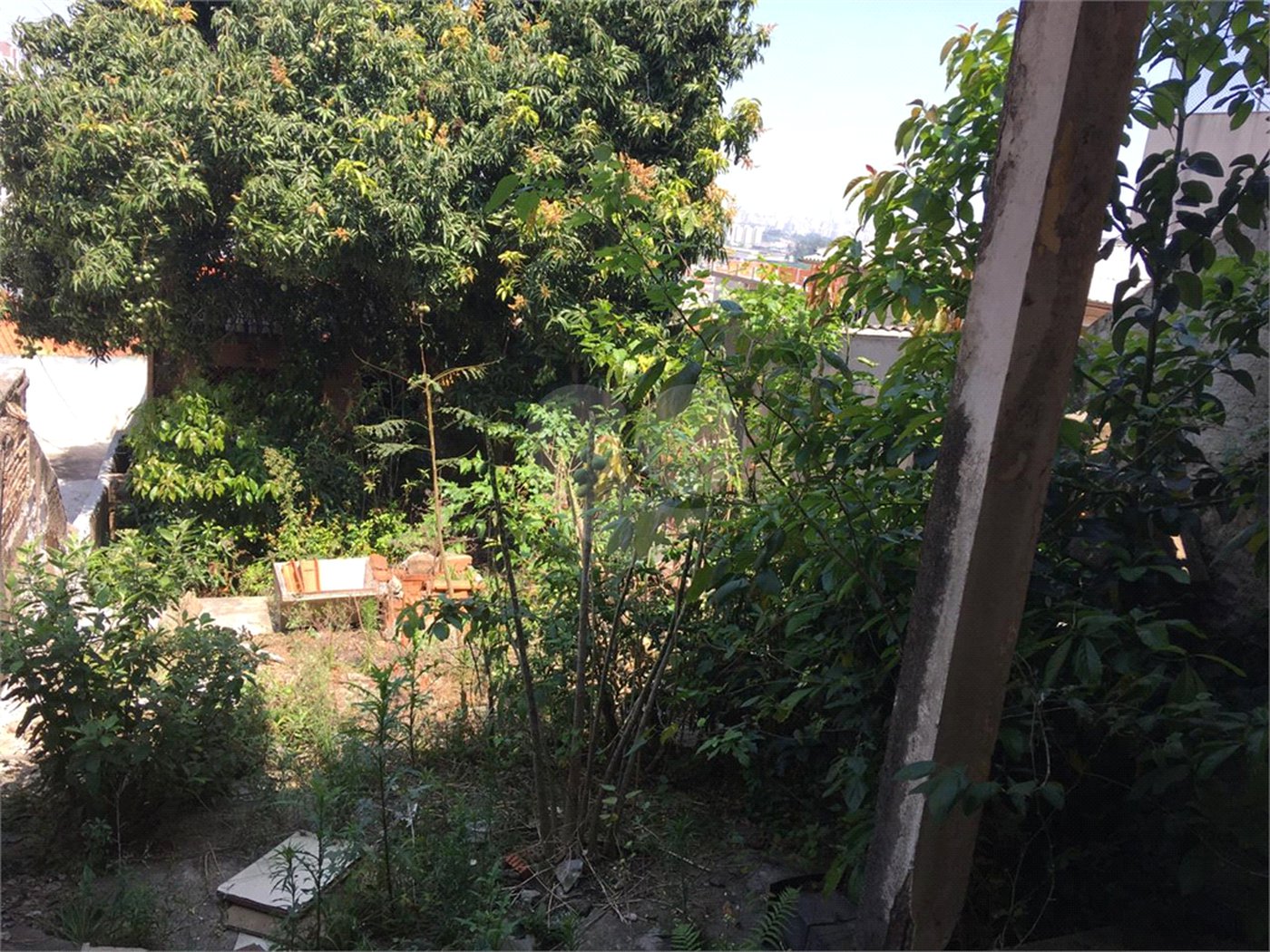Terreno à venda com 3 quartos em Vila Maria, São Paulo, SP