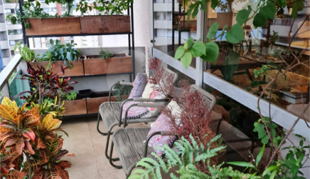 Apartamento à venda com 3 quartos, sendo 1 suíte,  em Jardim Ampliação, São Paulo, SP