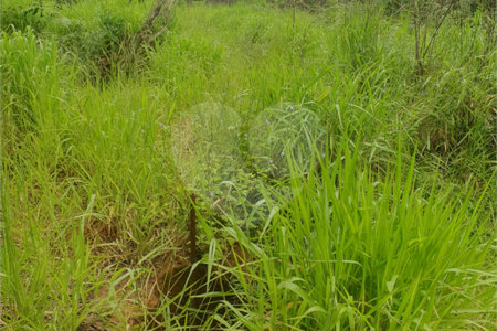 Terreno à venda em Vila Moraes, Mogi das Cruzes, SP