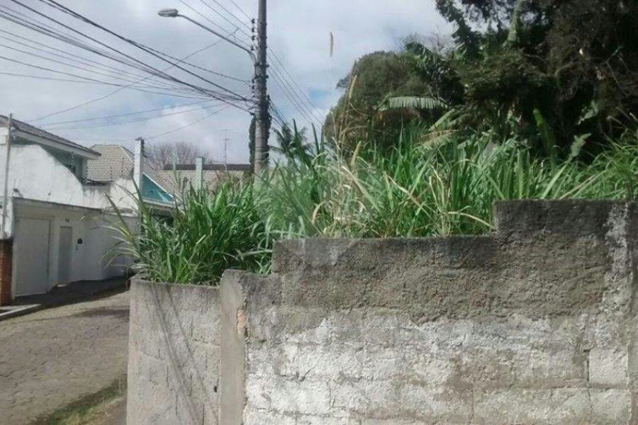 Terreno à venda em Horto Florestal, São Paulo, SP