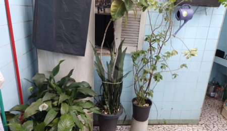 Sobrado à venda com 2 quartos em Vila Guilherme, São Paulo, SP
