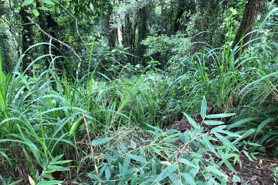 Terreno à venda no condomínio Gleba E2, Mairiporã - SP