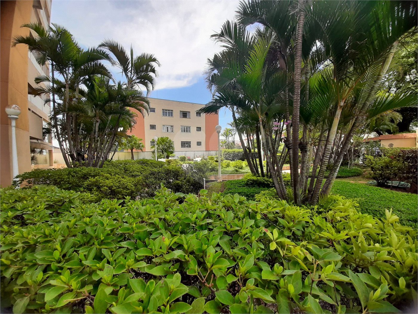 Apartamento à venda com 3 quartos, sendo 1 suíte, em Santana, São Paulo, SP