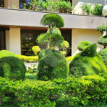 Apartamento à venda com 4 suítes em Bosque da Saúde, São Paulo, SP