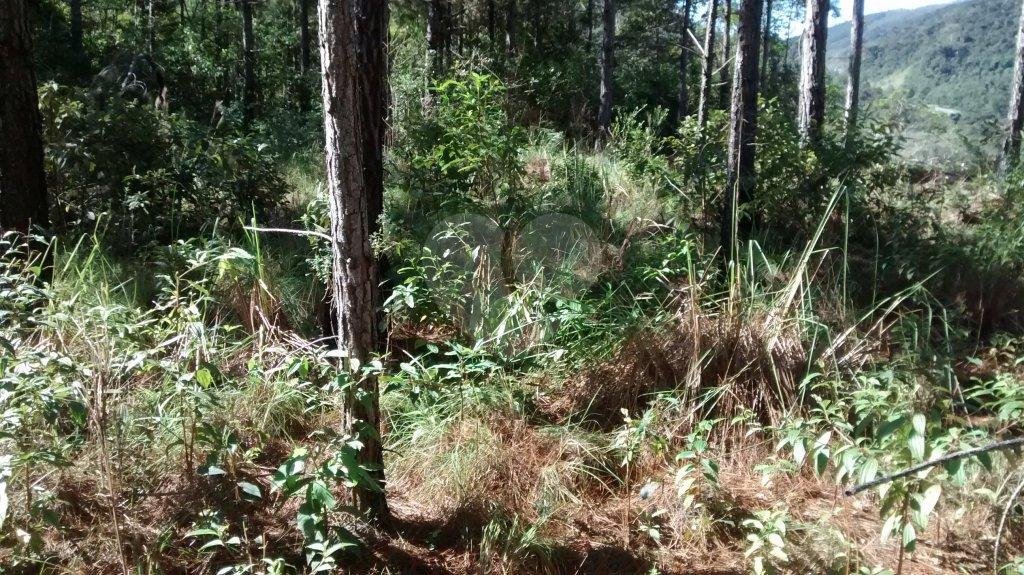 Terreno à venda em Jardim Glória, Miracatu, SP