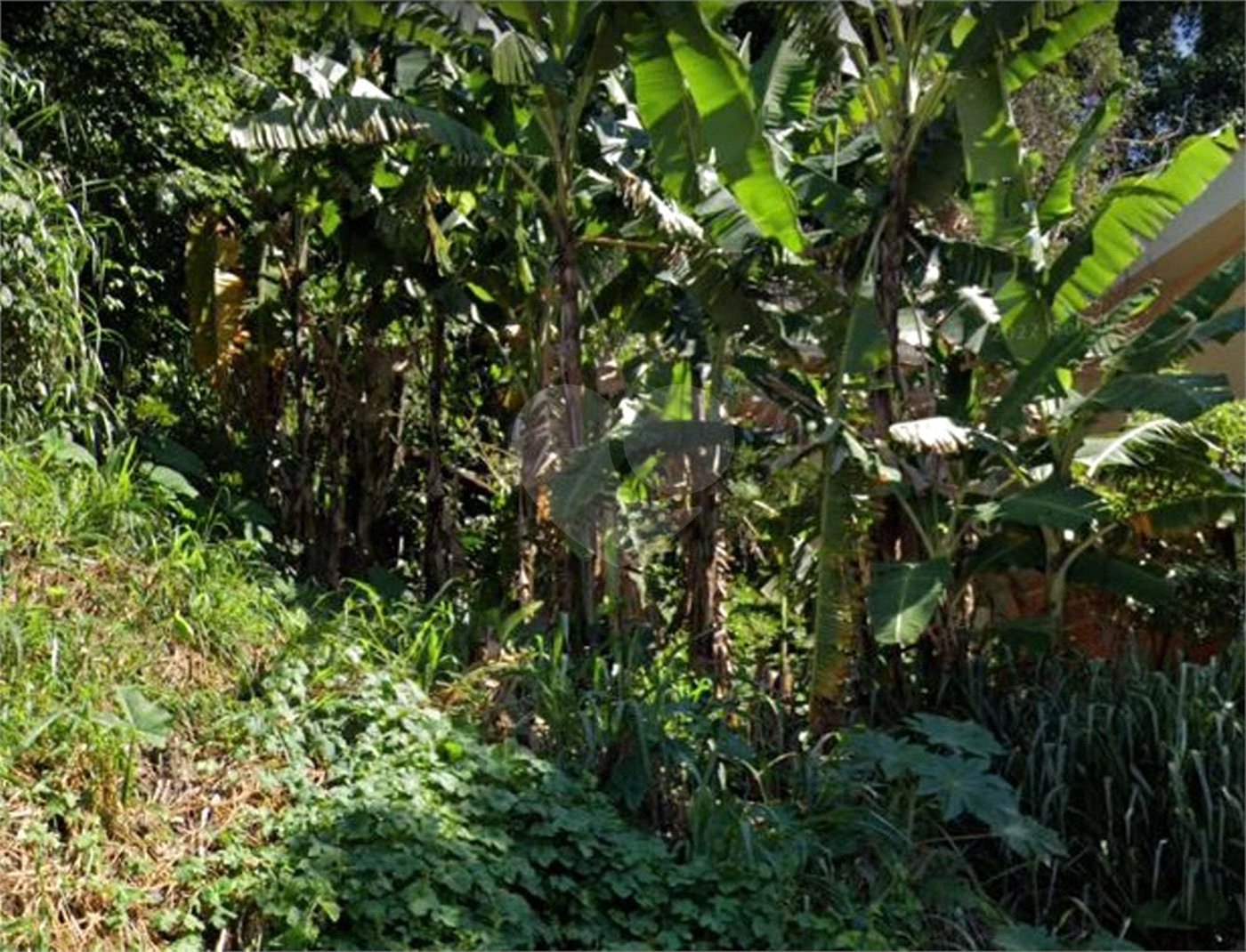 Terreno à venda em Tremembé, São Paulo, SP
