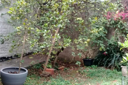 Casa térrea, à venda, a 800 metros do Metrô Vila Sônia