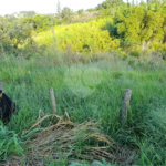 Área de Terra à venda em Três Pistas, Atibaia, SP