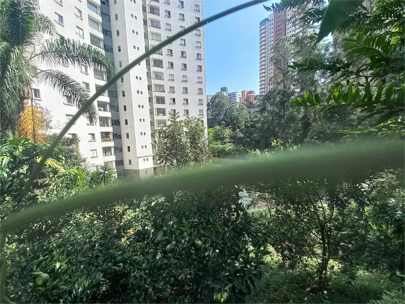 Apartamento à venda com 3 quartos, sendo 1 suíte,  em Vila Andrade, São Paulo, SP
