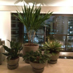 Apartamento à venda com 3 suítes em Granja Julieta, São Paulo, SP