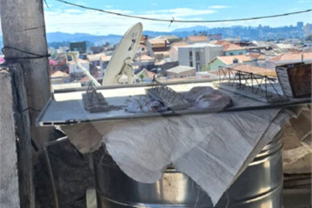 Sobrado à venda com 5 quartos, sendo 1 suíte, em Vila Gustavo, São Paulo, SP
