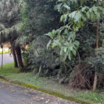 Terreno à venda no condomínio Alpes da Cantareira, Mairiporã - SP