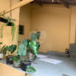 Casa Térrea à venda com 1 suíte em Vila Nova Cachoeirinha, São Paulo, SP