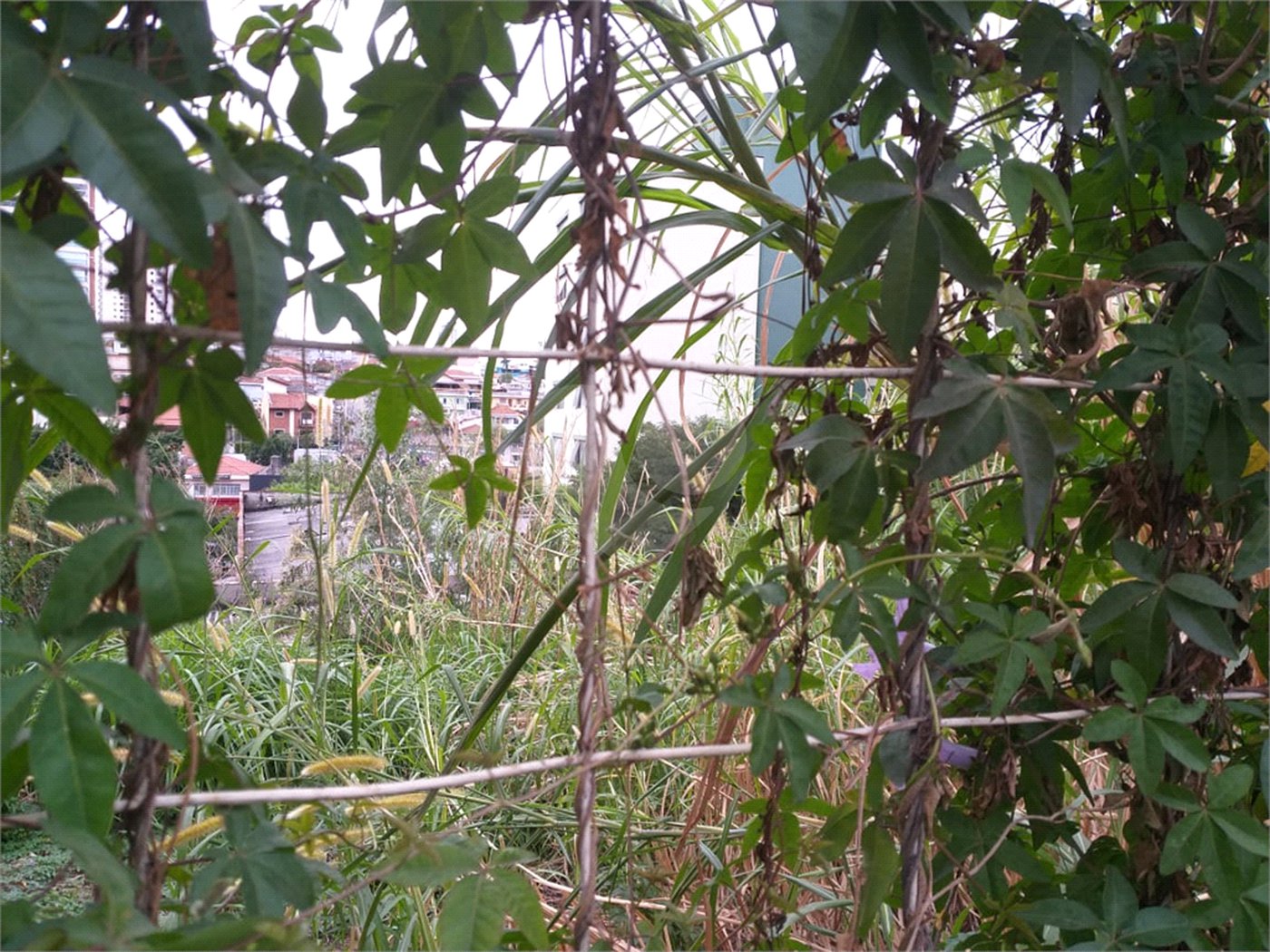 Terreno à venda em Casa Verde, São Paulo, SP