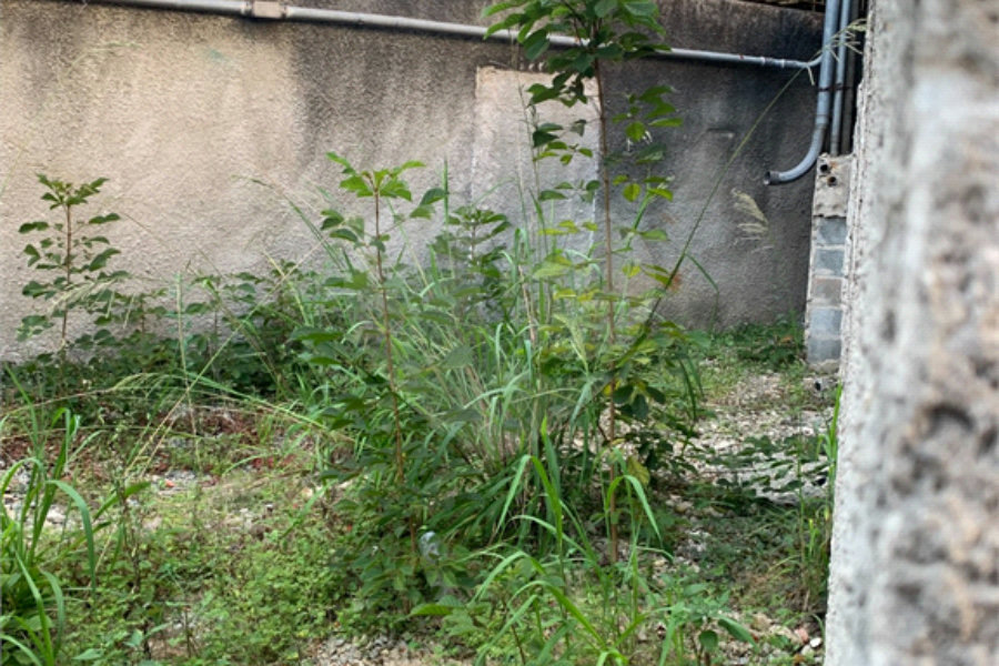 Sobrado à venda com 2 quartos em Santana, São Paulo, SP