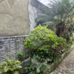 Casa Térrea à venda com 2 quartos em Vila Pereira Barreto, São Paulo, SP