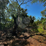Terreno à venda em Residencial Emilio de Andrade, Ponta Porã, MS