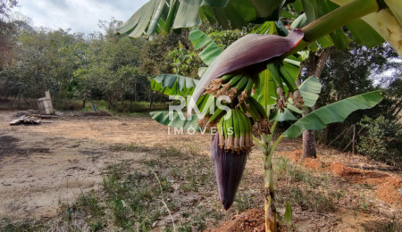 Chácara à venda com 2 quartos em Área Rural de Elias Fausto, Elias Fausto, SP