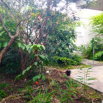 Casa Térrea à venda com 3 quartos, sendo 1 suíte, em Vila Cordeiro, São Paulo, SP