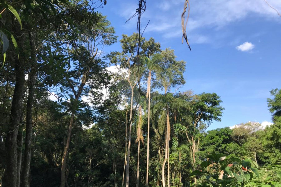 Terreno à venda em Serra da Cantareira, Mairiporã, SP