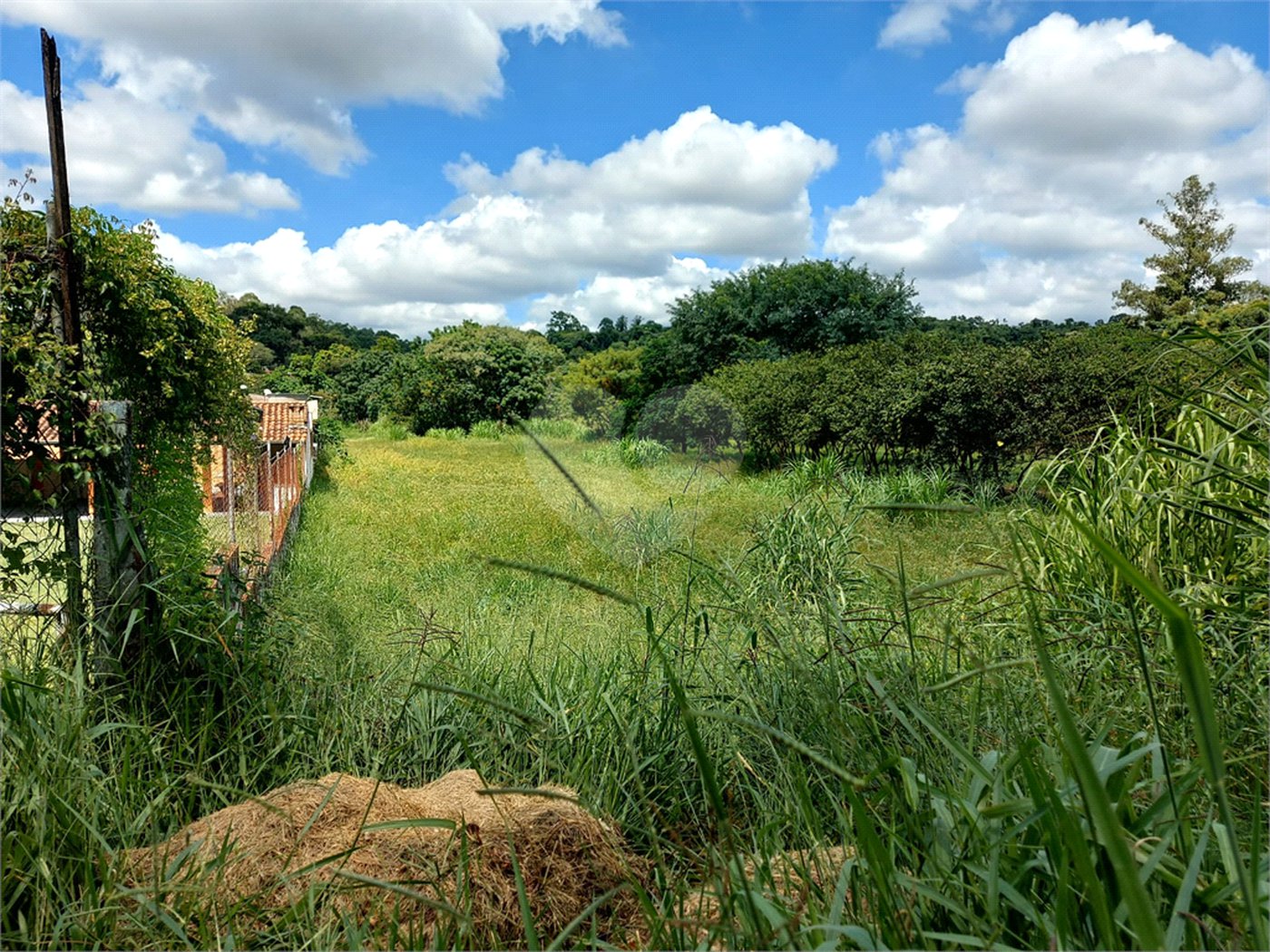 Terreno à venda em Abadia, Louveira, SP