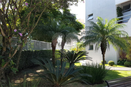 Apartamento à venda com 3 quartos, sendo 1 suíte, em Vila Paulicéia, São Paulo, SP