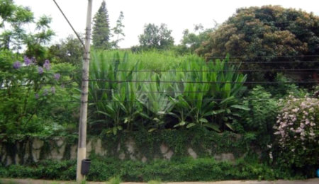 Terreno à venda em Vila Andrade, São Paulo, SP