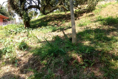 Terreno à venda em Jardim Morumbi, São Paulo, SP