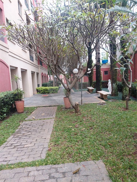 Apartamento à venda com 3 quartos em Mandaqui, São Paulo, SP