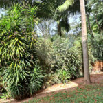 Casa à venda com 3 quartos, sendo 1 suíte, no condomínio Alpes da Cantareira, Mairiporã - SP