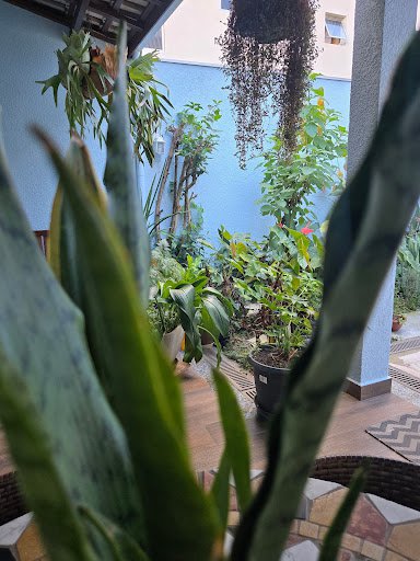 Casa com 6 dormitórios à venda, 250 m² por R$ 2.500.000,00 - Aclimação - São Paulo/SP