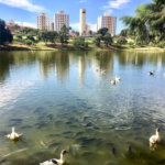 Terreno à venda no condomínio Reserva da Mata, Jundiaí - SP
