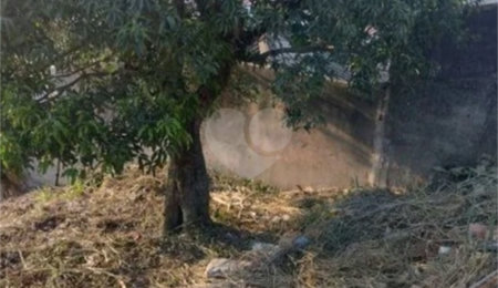Terreno à venda em Limão, São Paulo, SP