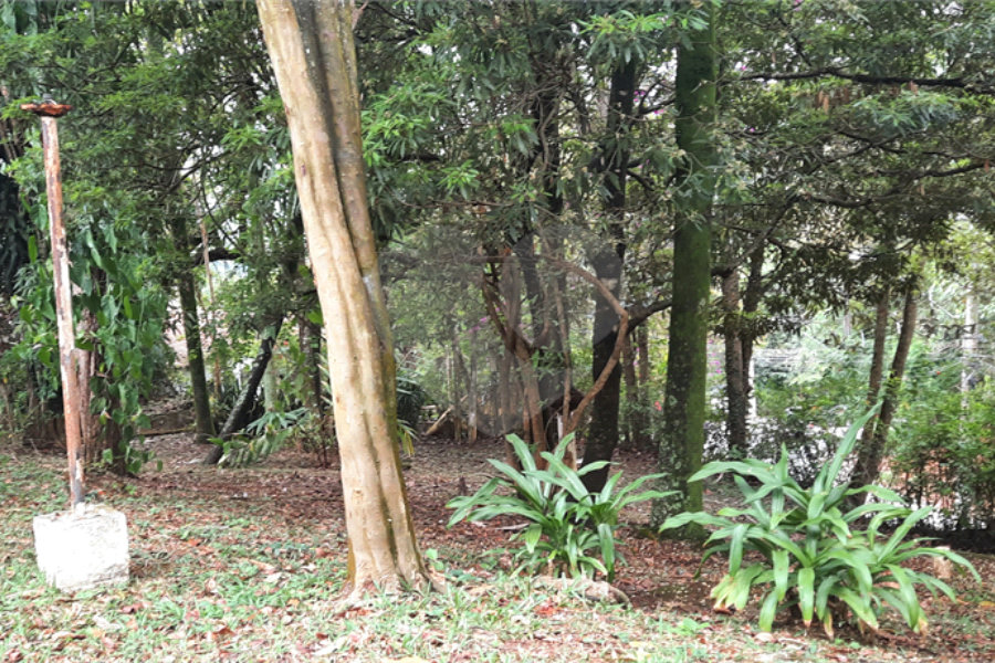 Casa à venda com 3 quartos, sendo 1 suíte,  em Serra da Cantareira, Mairiporã, SP