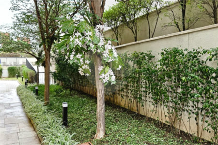 Apartamento à venda com 3 quartos, sendo 2 suítes, em Pinheiros, São Paulo, SP