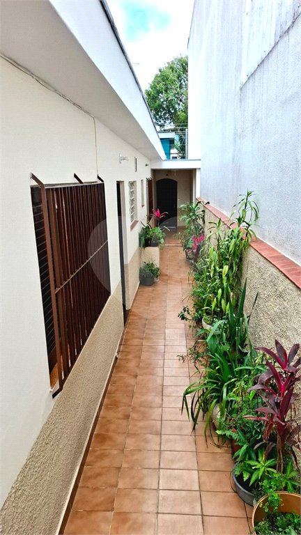 Casa Térrea à venda com 2 quartos em Parque Edu Chaves, São Paulo, SP