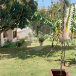 Casa Térrea à venda com 4 quartos, sendo 1 suíte,  em Parque dos Lagos, Mogi das Cruzes, SP